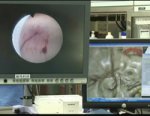 Magnetically Guided 3D-Virtual Neuronavigation for Neuroendoscopic Surgery 
