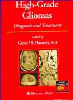 High-grade Gliomas 